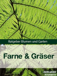 Farne & Gräser