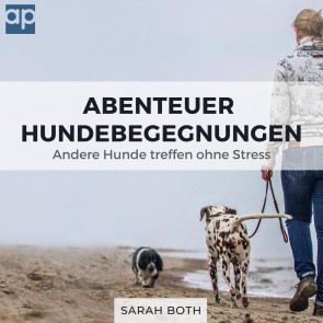 Abenteuer Hundebegegnungen