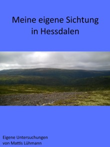 Meine eigene Sichtung in Hessdalen