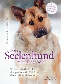 Dein Seelenhund zeigt dir den Weg