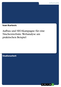 Aufbau und SEO-Kampagne für eine Nischenwebsite. Webanalyse am praktischen Beispiel