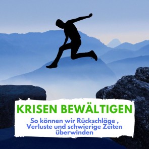 Krisen bewältigen