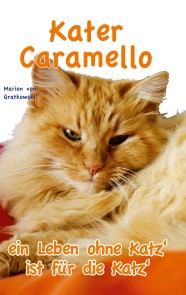 Kater Caramello - ein Leben ohne Katz' ist für die Katz'