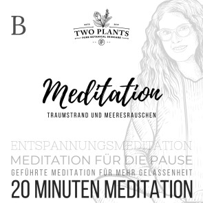 Meditation Traumstrand und Meeresrauschen - Meditation B - 20 Minuten Meditation