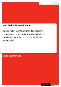 Retour des combattants terroristes étrangers. Quels enjeux sécuritaires existent pour la paix et la stabilité mondiale?