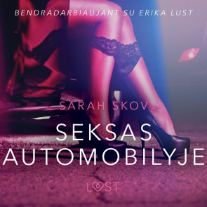 Seksas automobilyje - seksuali erotika