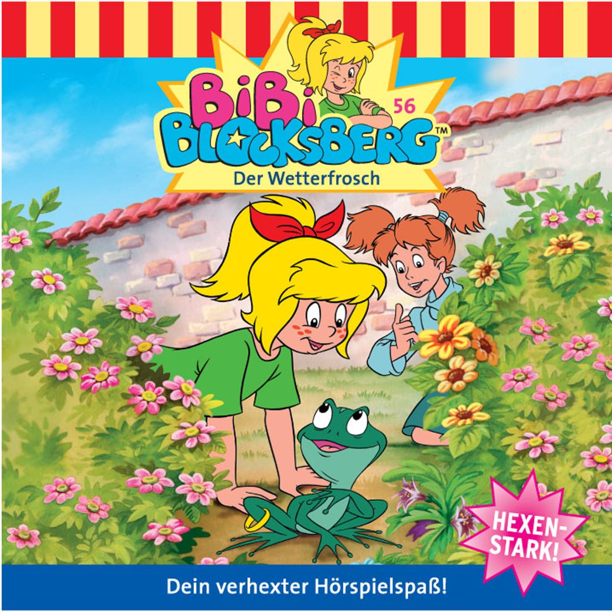 Bibi Blocksberg - Der Wetterfrosch