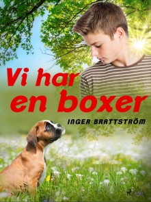 Vi har en boxer