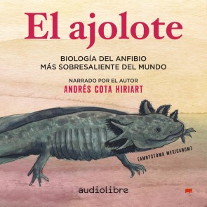 El ajolote