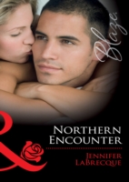 Northern Encounter (Mills & Boon Blaze) (Alaskan Heat, Book 2)