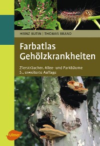 Gehölzkrankheiten