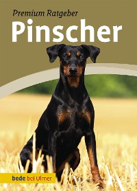 Pinscher