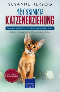 Abessinier Katzenerziehung - Ratgeber zur Erziehung einer Katze der Abessinier Rasse