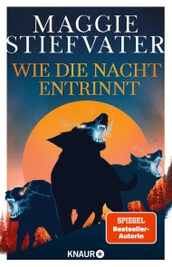 Wie die Nacht entrinnt