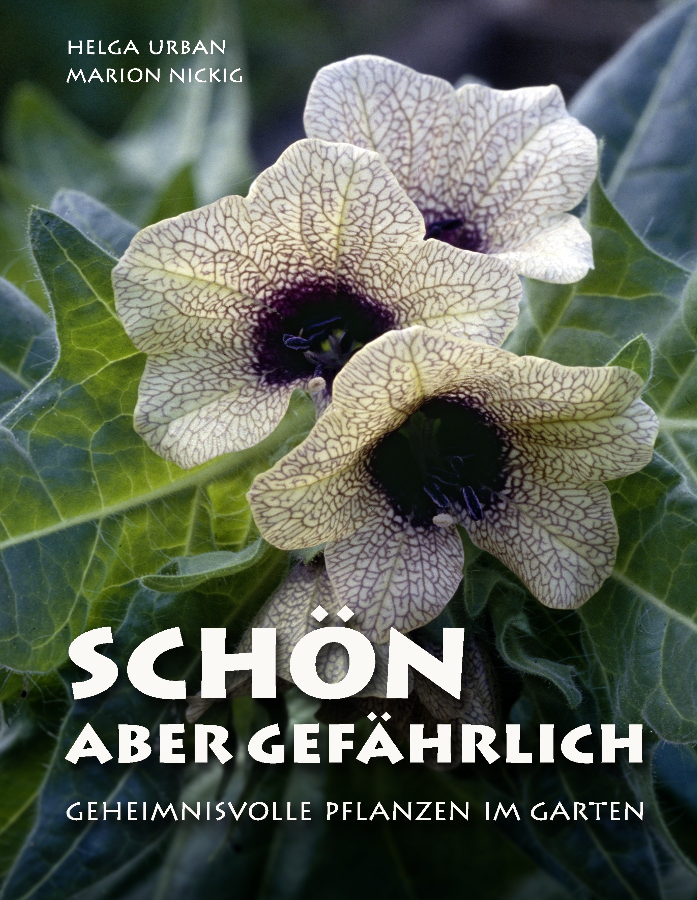 Schön, aber gefährlich