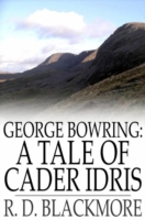 George Bowring: A Tale of Cader Idris