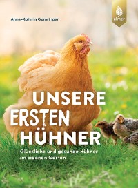 Unsere ersten Hühner