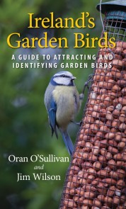 Ireland's Garden Birds