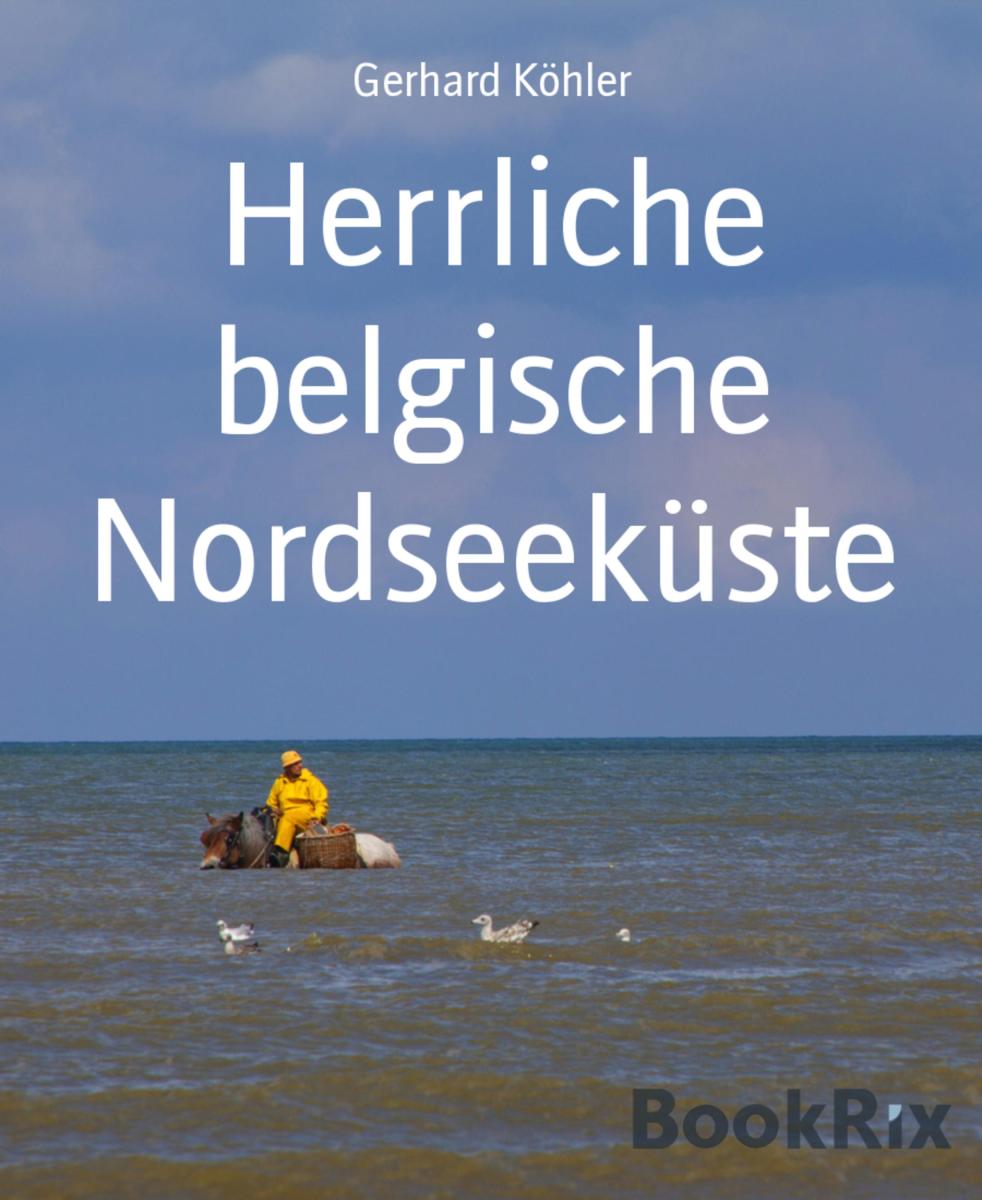 Herrliche belgische Nordseeküste