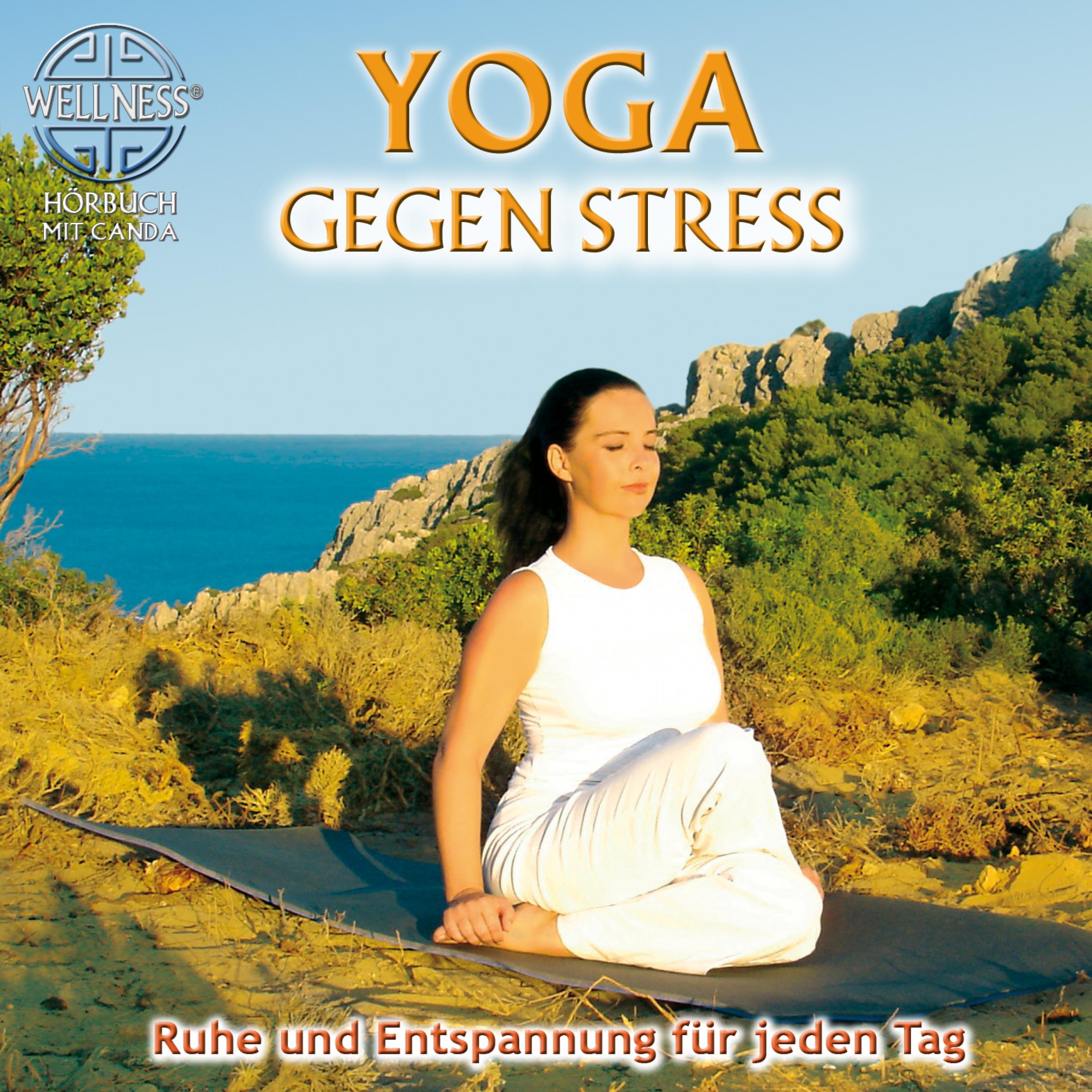 Yoga gegen Stress - Ruhe und Entspannung für jeden Tag