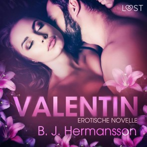 Valentin: Erotische Novelle