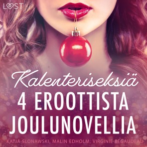 Kalenteriseksiä - 4 eroottista joulunovellia