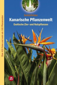 Kanarische Pflanzenwelt