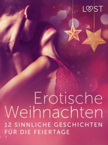 Erotische Weihnachten: 12 sinnliche Geschichten für die Feiertage