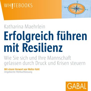 Erfolgreich führen mit Resilienz