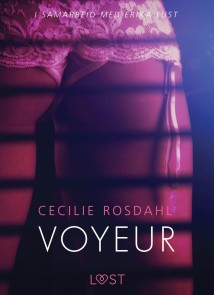 Voyeur - en erotisk novelle