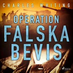 Operation Falska bevis