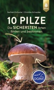 10 Pilze