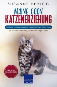 Maine Coon Katzenerziehung - Ratgeber zur Erziehung einer Katze der Maine Coon Rasse