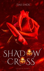 Shadowcross: Das Ende