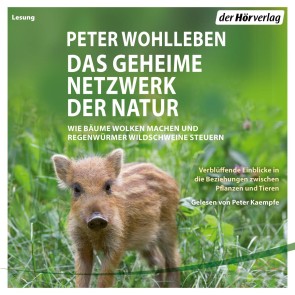 Das geheime Netzwerk der Natur