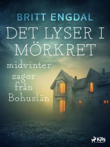 Det lyser i mörkret: midvintersagor från Bohuslän