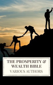 The Prosperity & Wealth Bible