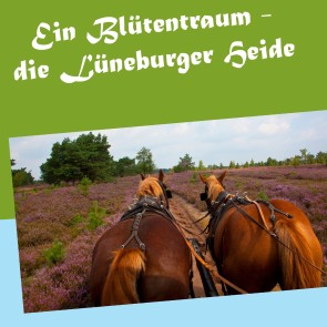 Ein Blütentraum - die Lüneburger Heide