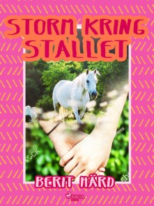 Storm kring stallet