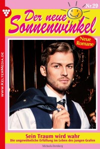 Der neue Sonnenwinkel 29 - Familienroman