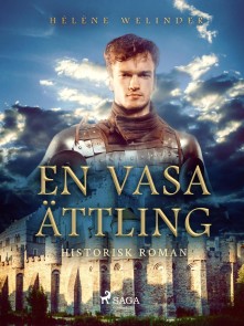 En Vasaättling: historisk roman