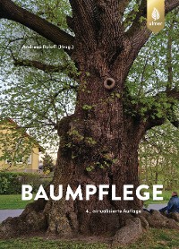 Baumpflege