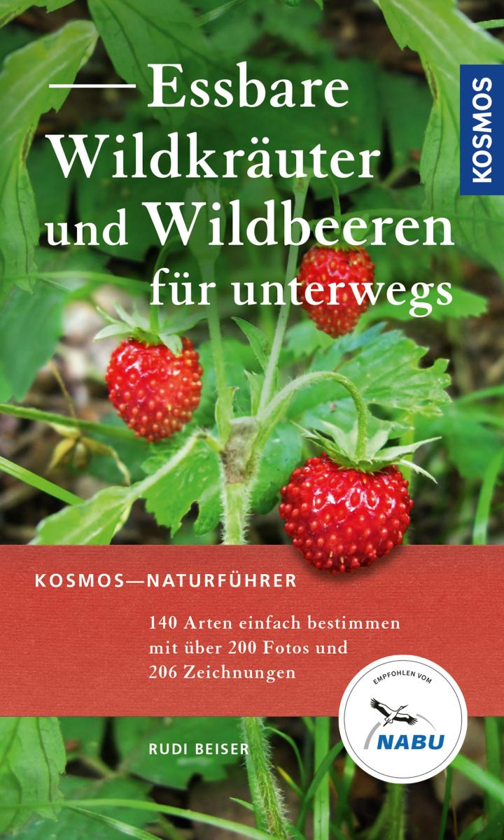 Essbare Wildkräuter und Wildbeeren für unterwegs