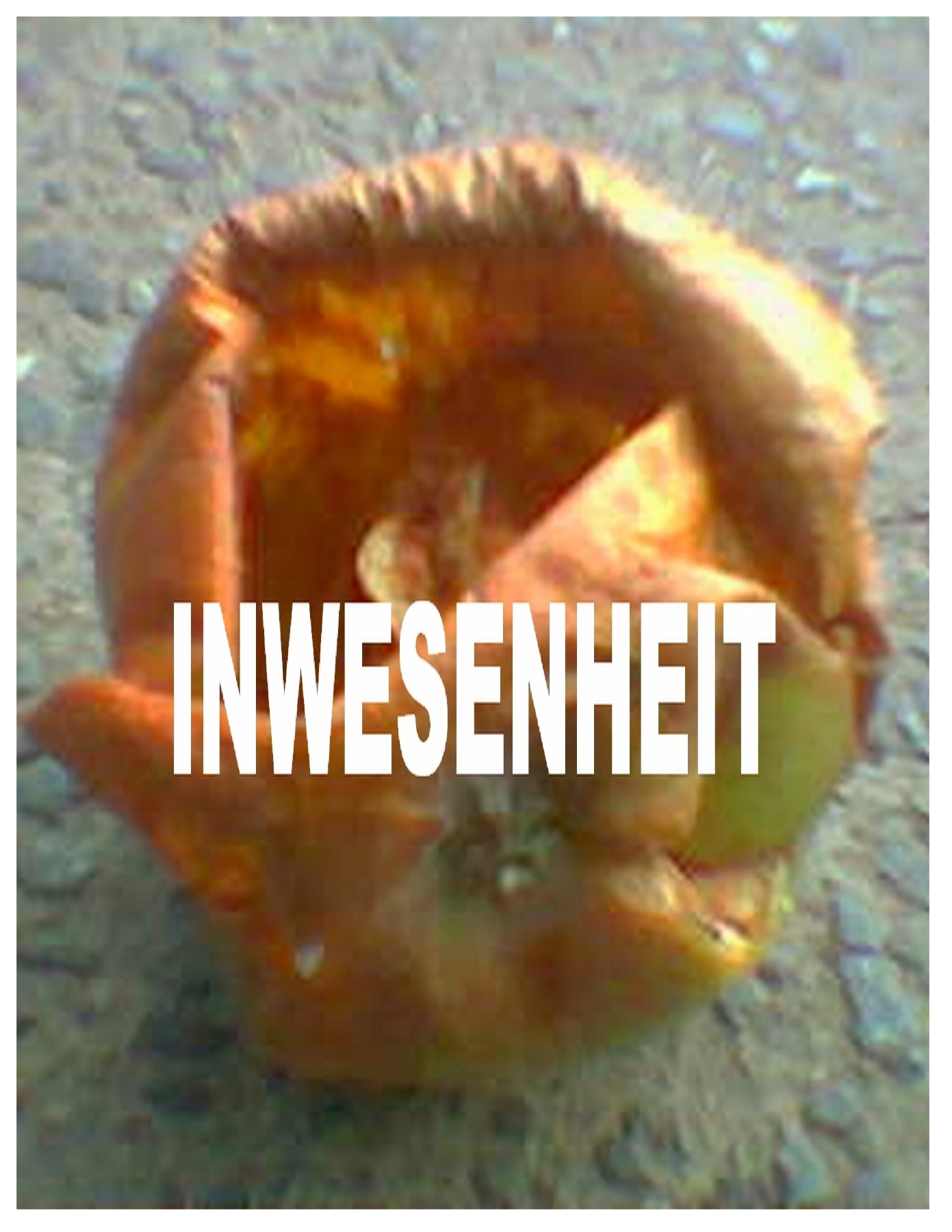 Inwesenheit