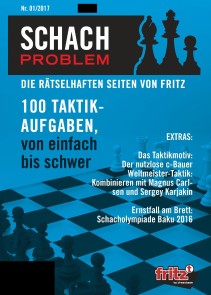 Schach Problem 01/2017