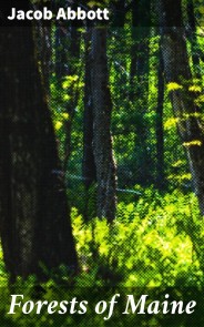 Forests of Maine