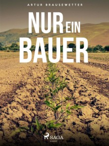 Nur ein Bauer