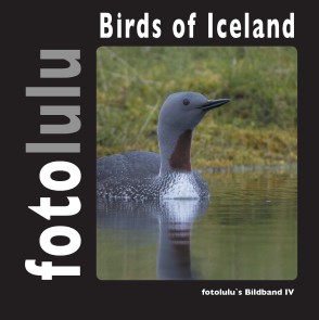 Birds of Iceland