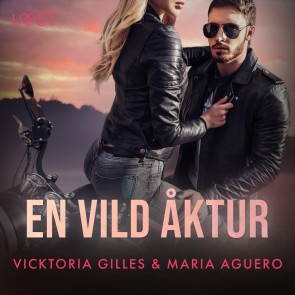 En vild åktur - erotisk romance