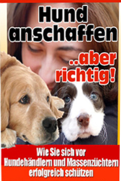 Hund anschaffen-aber richtig